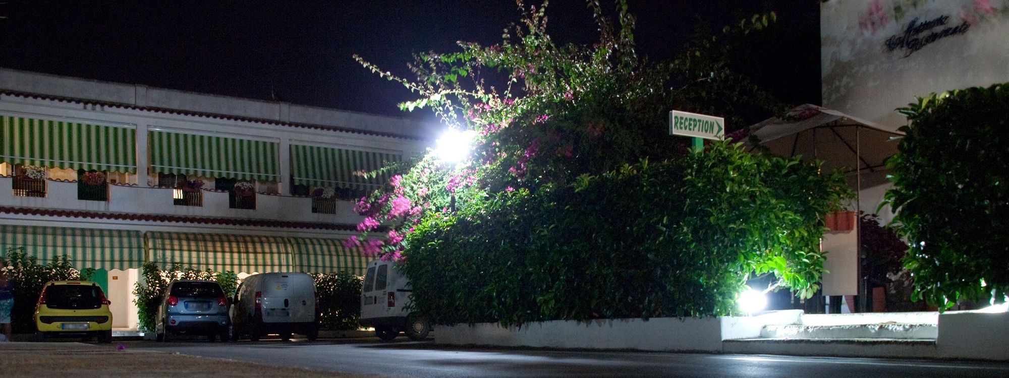 Фото Hotel Residence Nemo