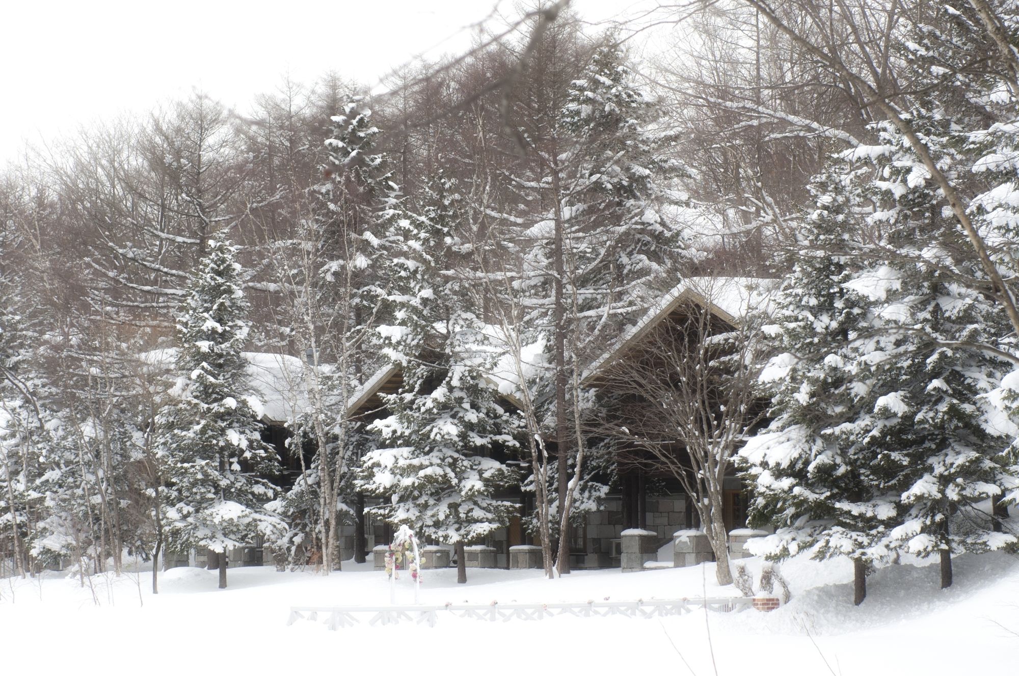 Фото Hotel Nidom