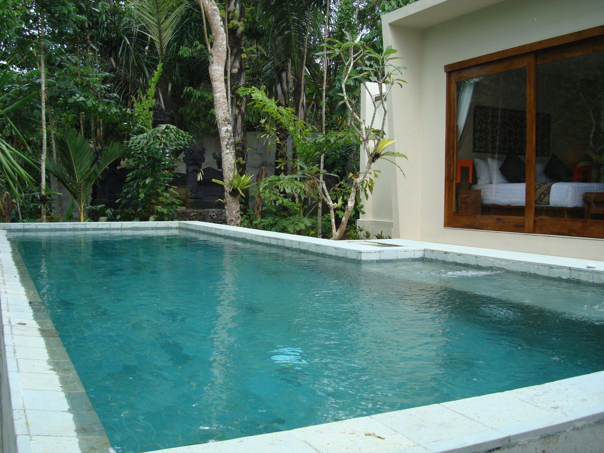 Фото 164162676469