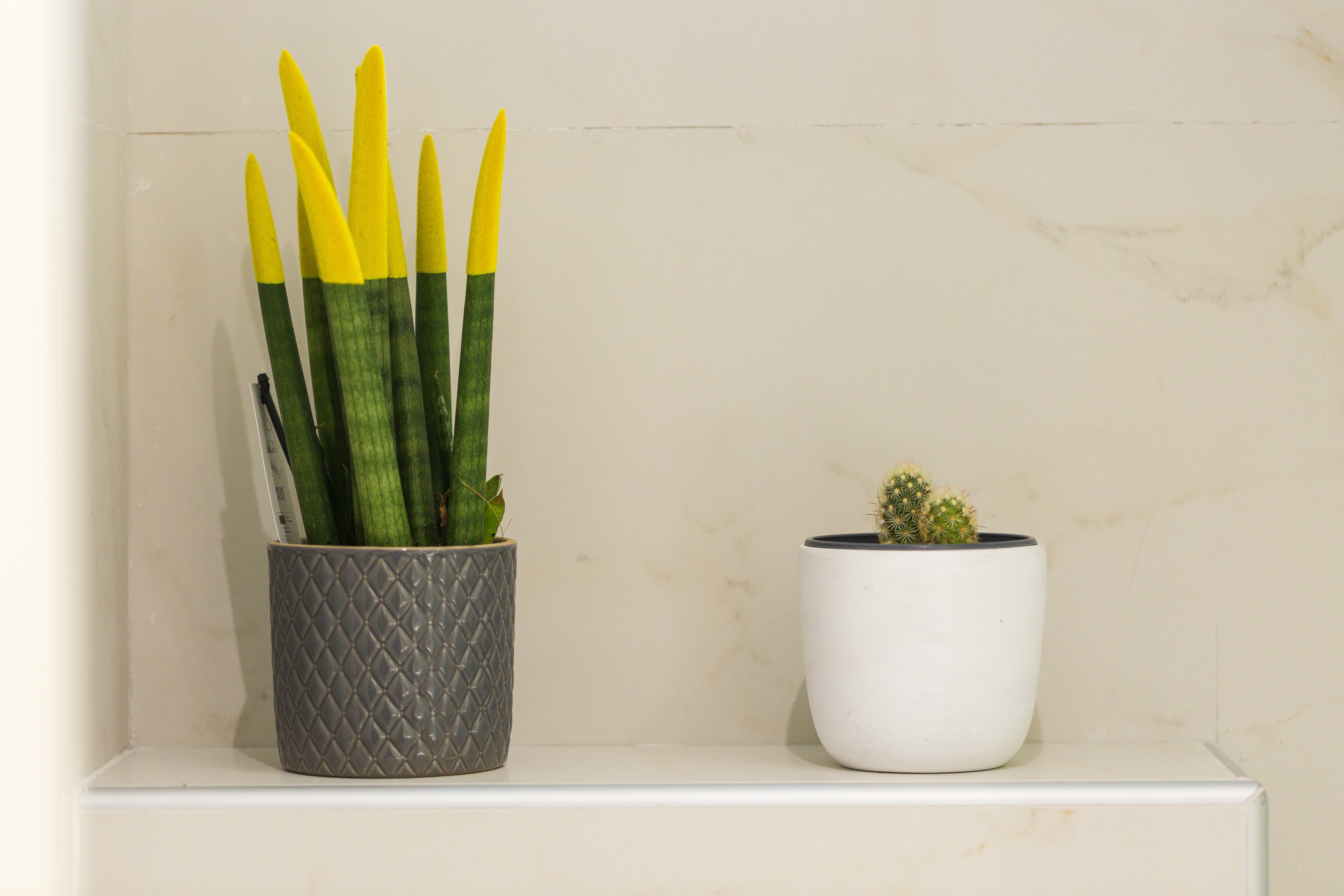 Фото Radamanthy's Hotel Apartments