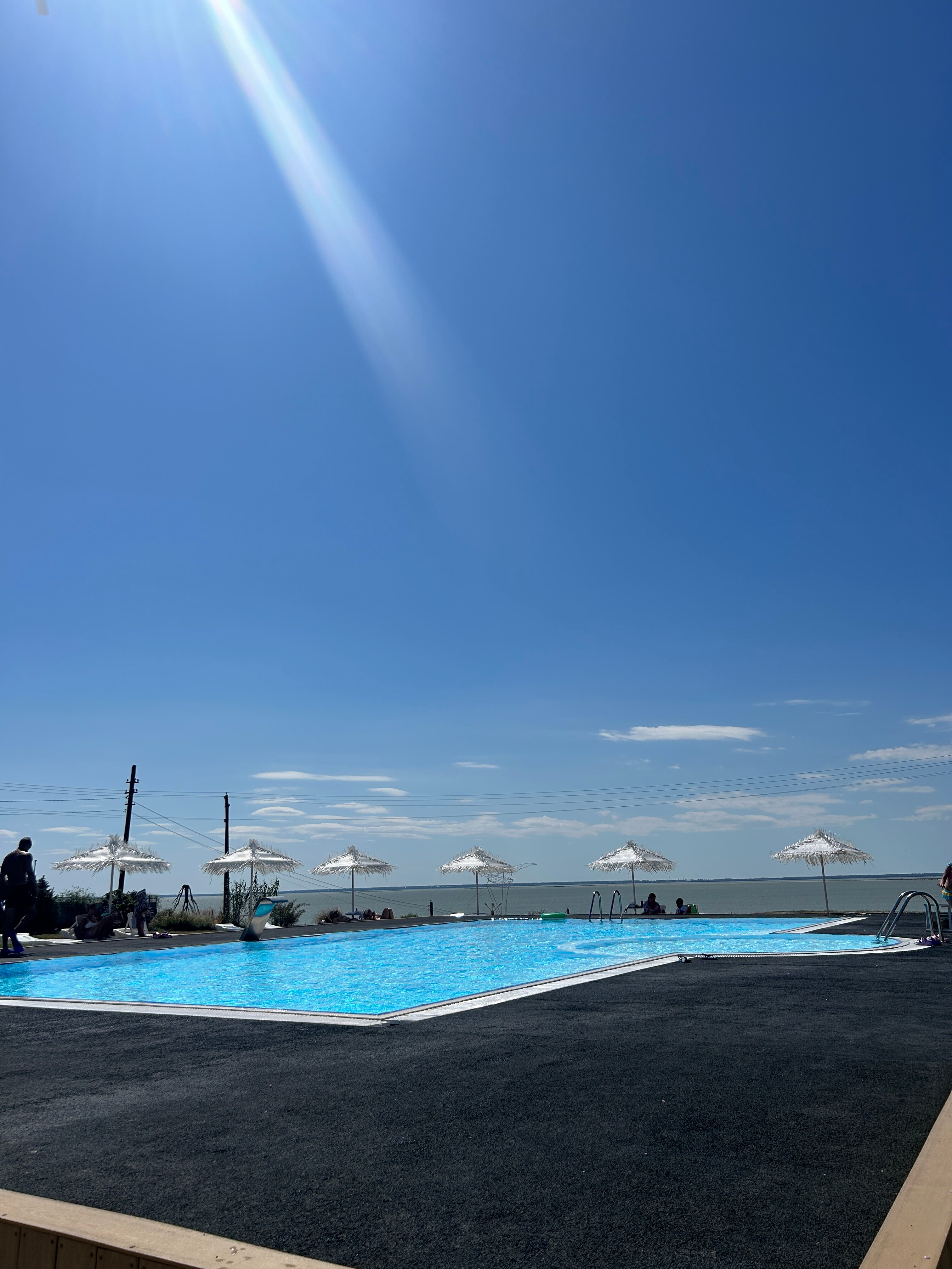 Фото Альбатрос