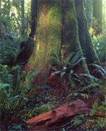 Фото Carter House Inns