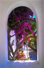 Фото Pelagos Studios