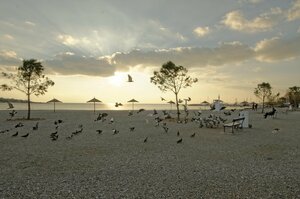 Гостиница Palmyra Beach Hotel