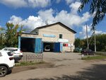 Olzha (Svobodnaya street, 2), disinfection, disinsection, deratization