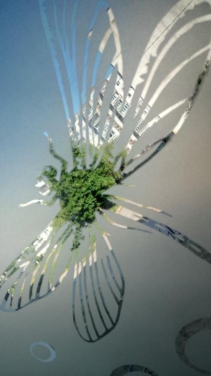 Фото Стрекоза