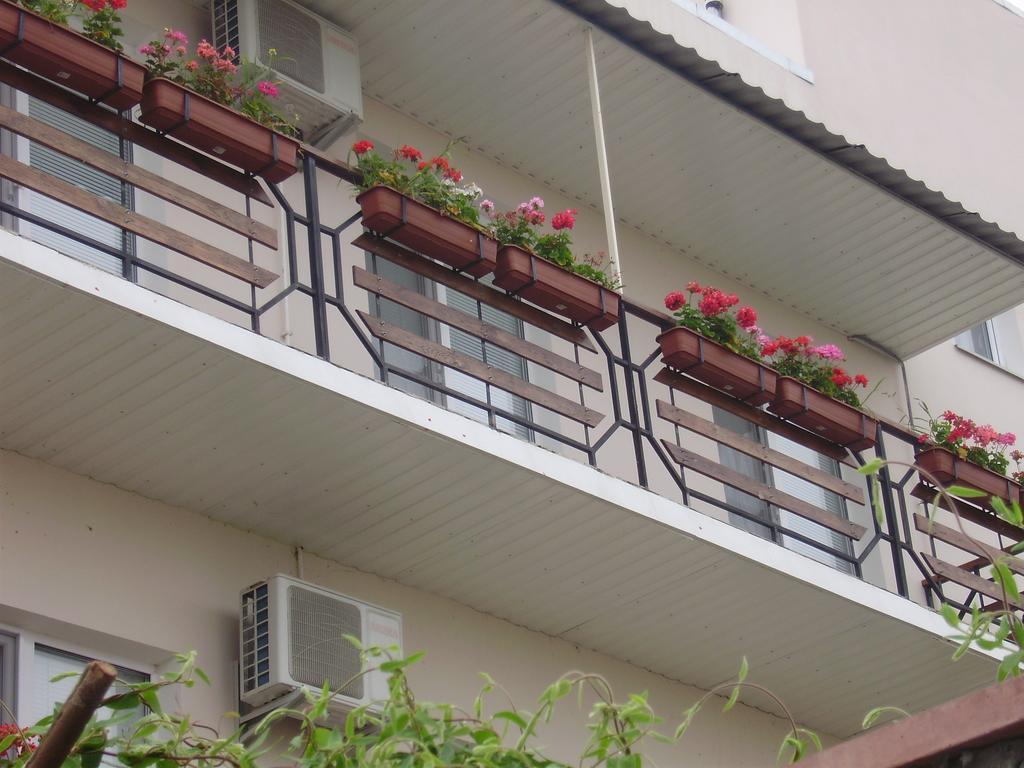 Фото Гулливер-1