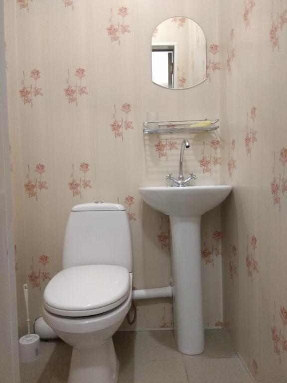 Фото Пелысь