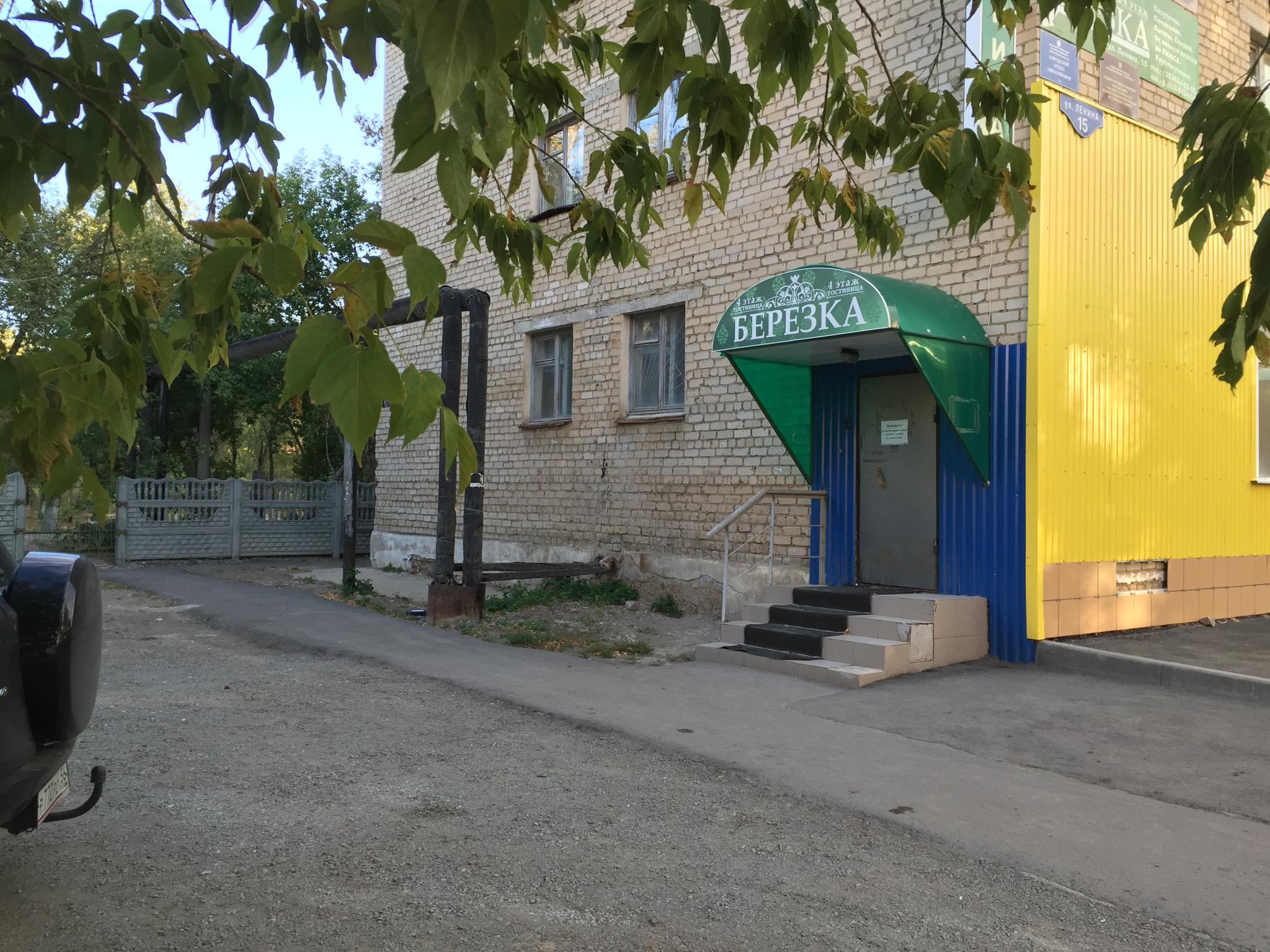 Фото Берёзка