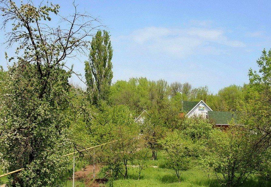 Фото Дом на реке