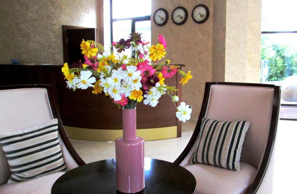 Фото Прованс