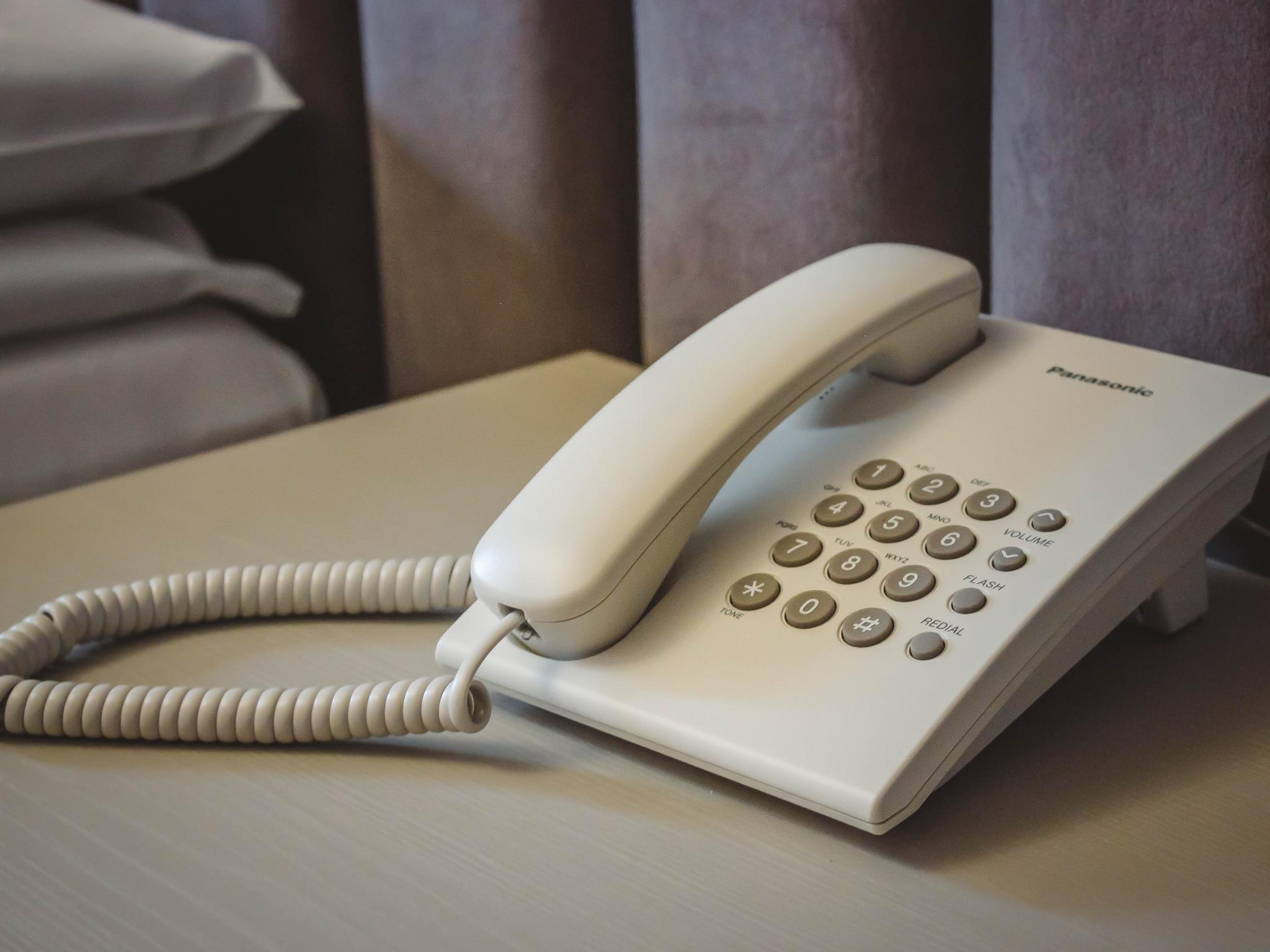 Фото Ореховая роща