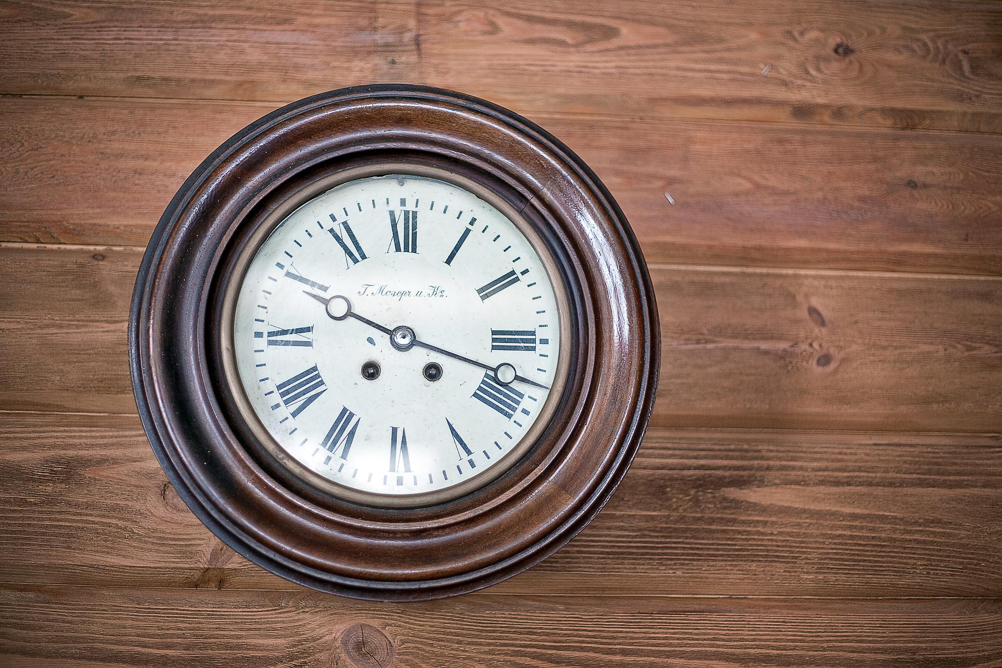 Фото Медведица