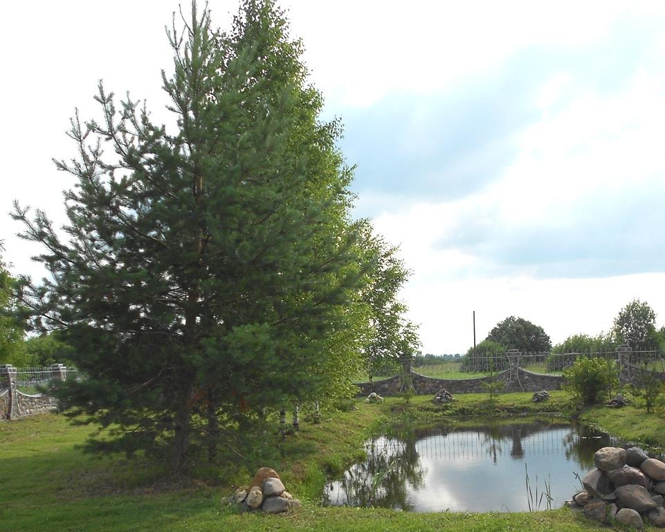 Фото Престиж