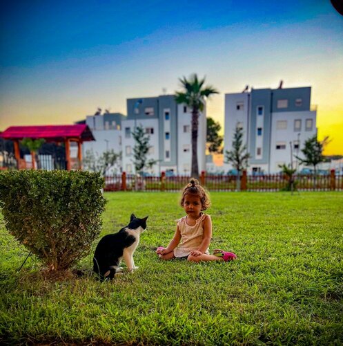 Гостиница Aromë Natyre by AlaraFarm