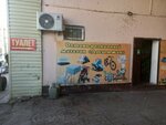 Paid Public Toilet (Wçïlïşçnaya street, 12), toilet