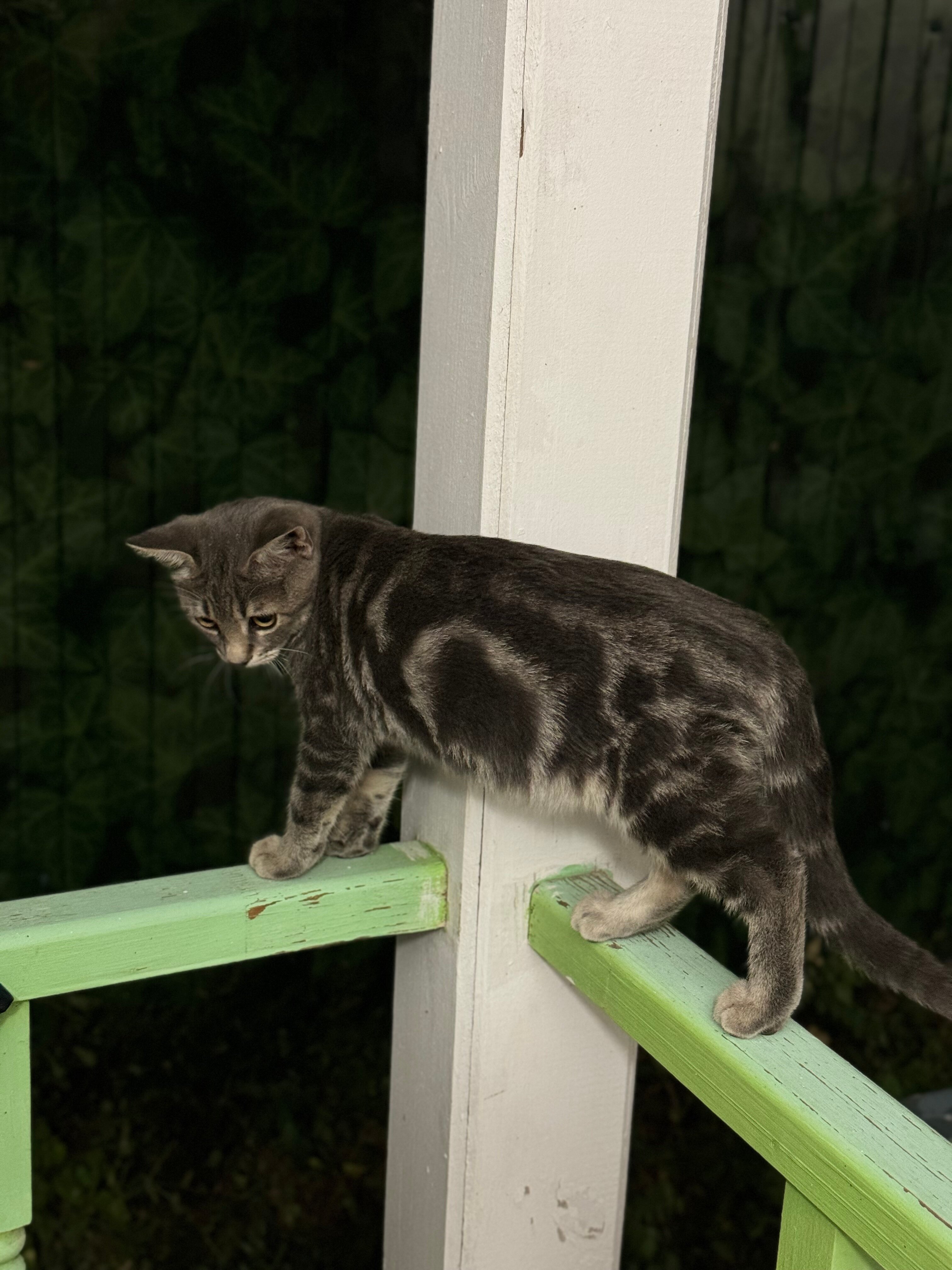 Фото Домики на Школьной