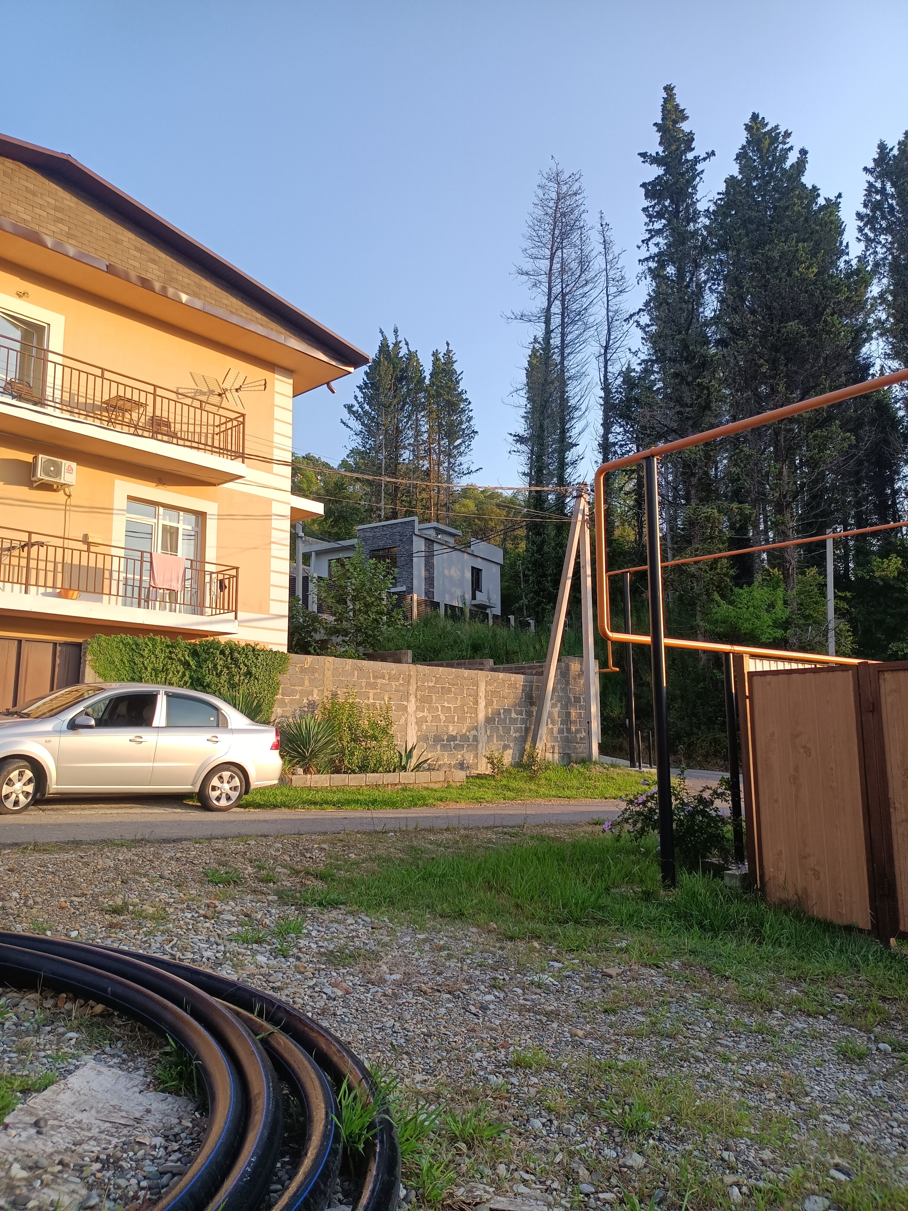 Фото Томичка