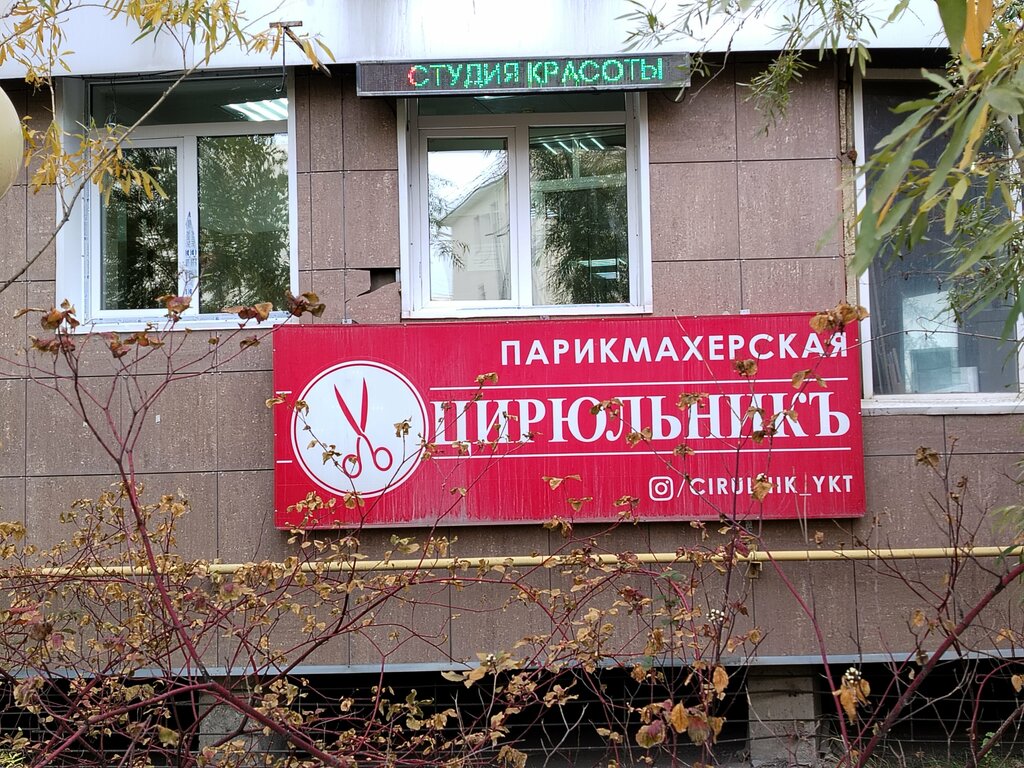 مصففو الشعر Yakutsky tsiryulnik ، ، صورة