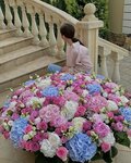 Bigbuketi (Pushkina Street, 14) ، محل زهور