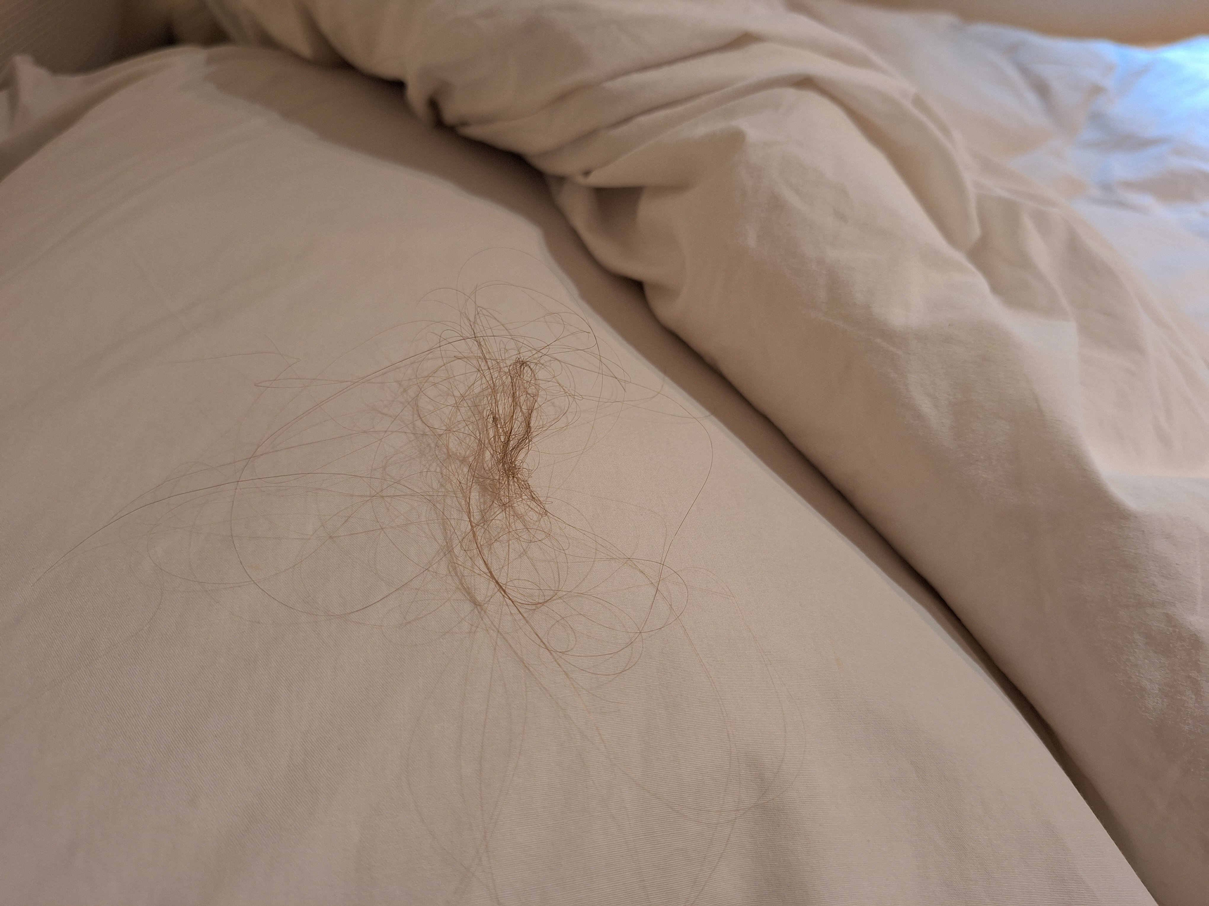 Фото G Mini Hotel Dongdaemun