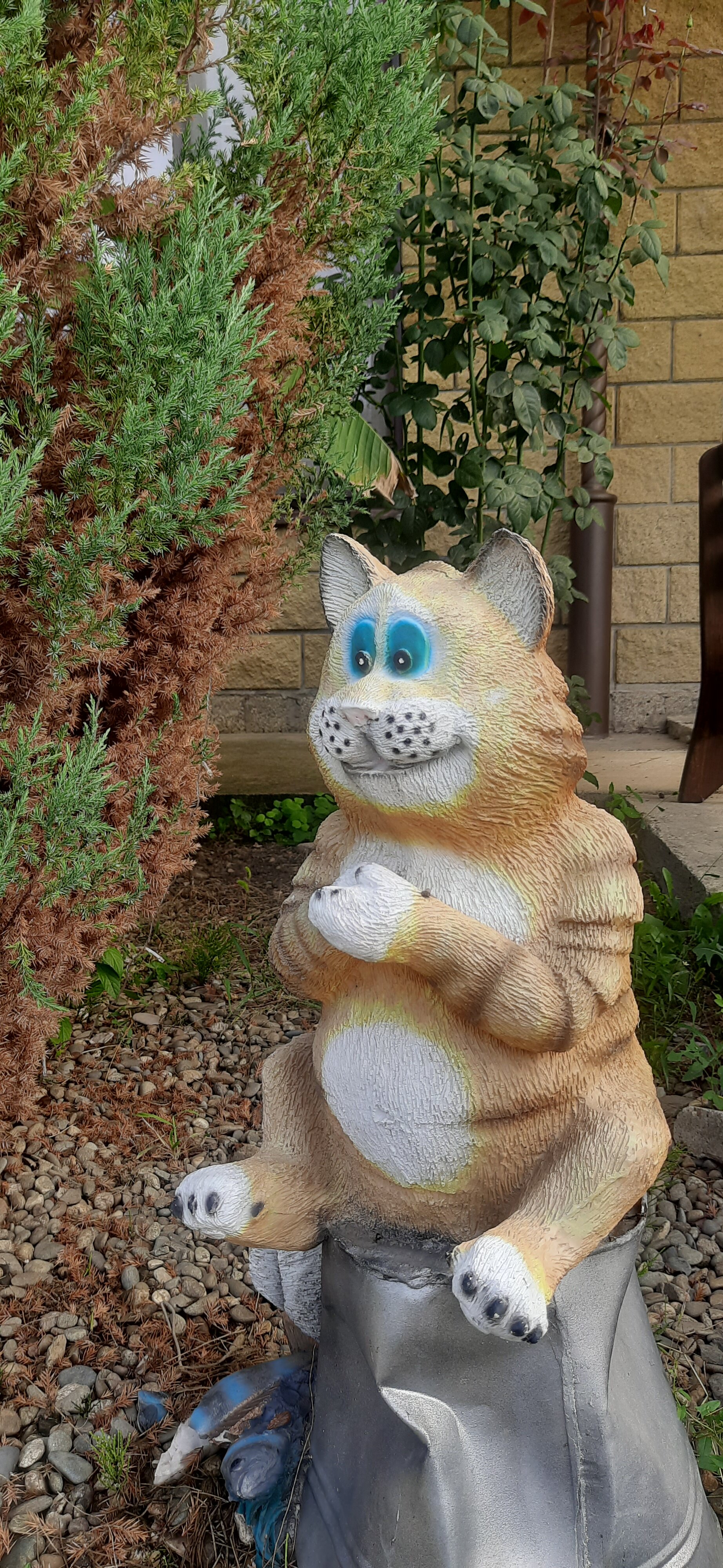 Фото Два брата