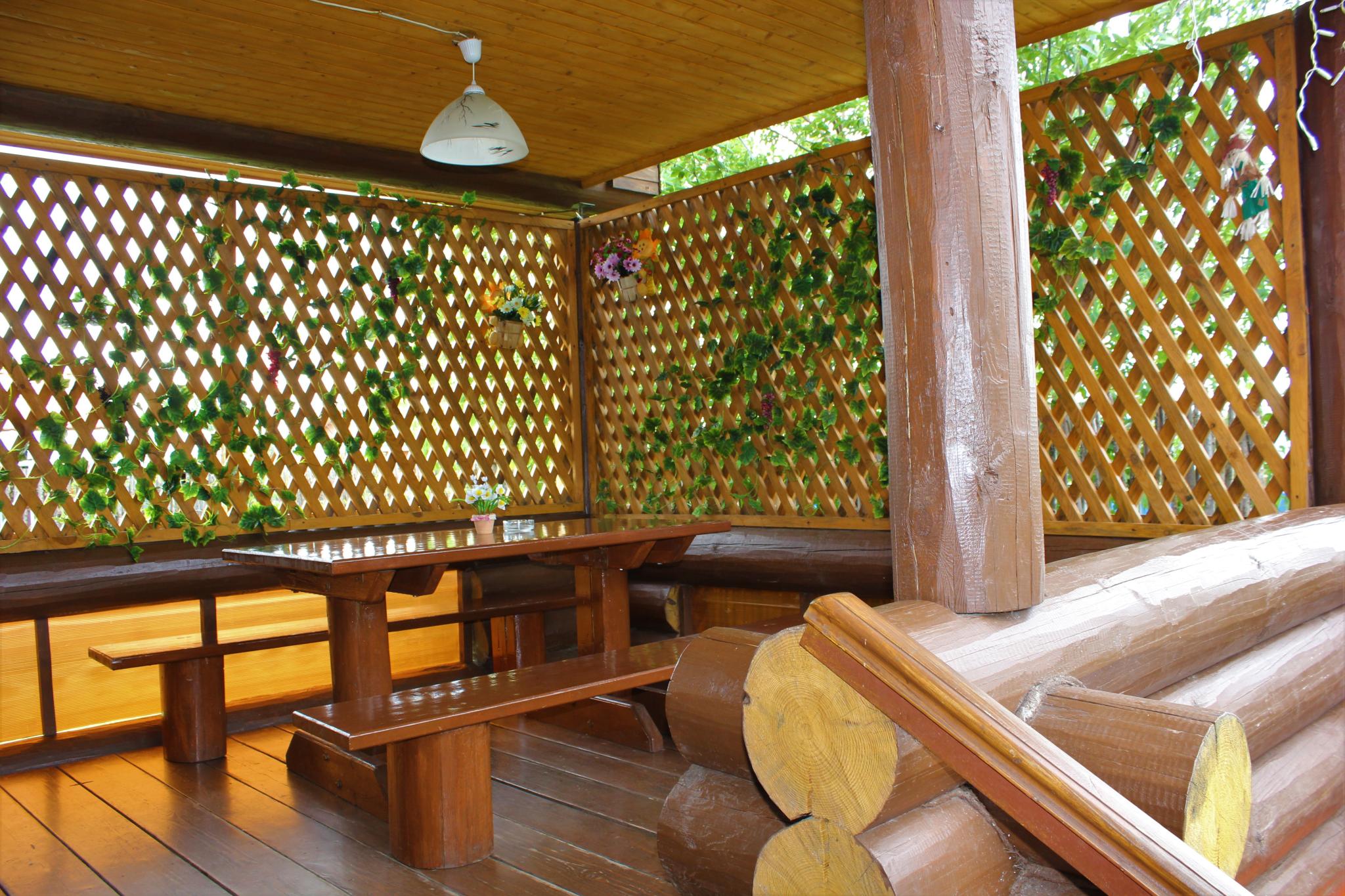 Фото Подсолнух