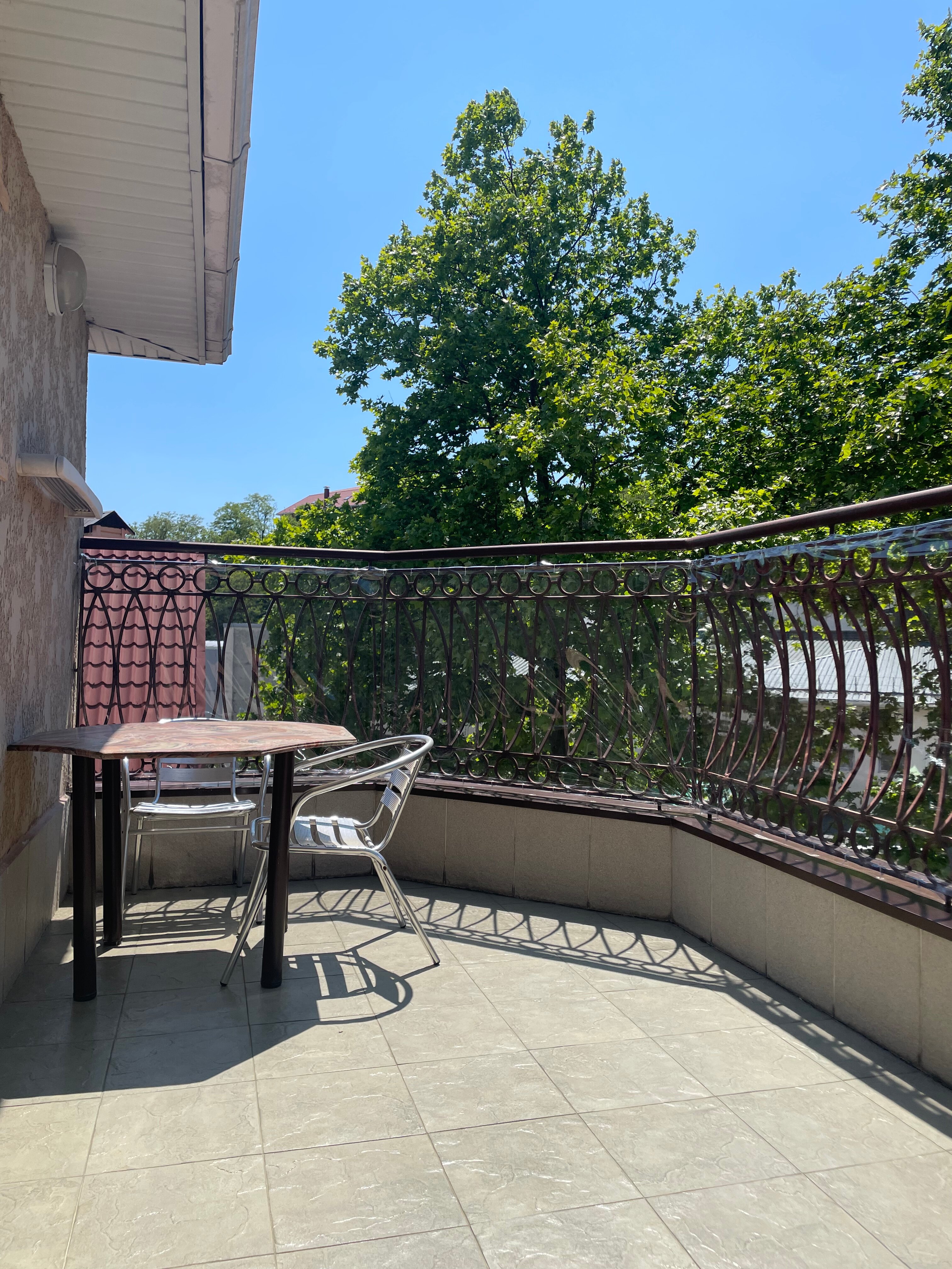 Фото Розмарин