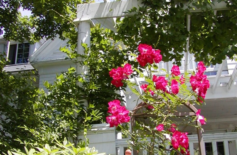 Фото The Inn on the Horse Farm