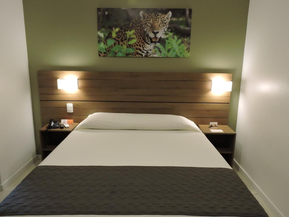 Фото Bristol Umarizal Belem