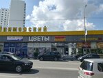 Пивная станция (Vidova Street, 222) ، متجر بيع البيرة