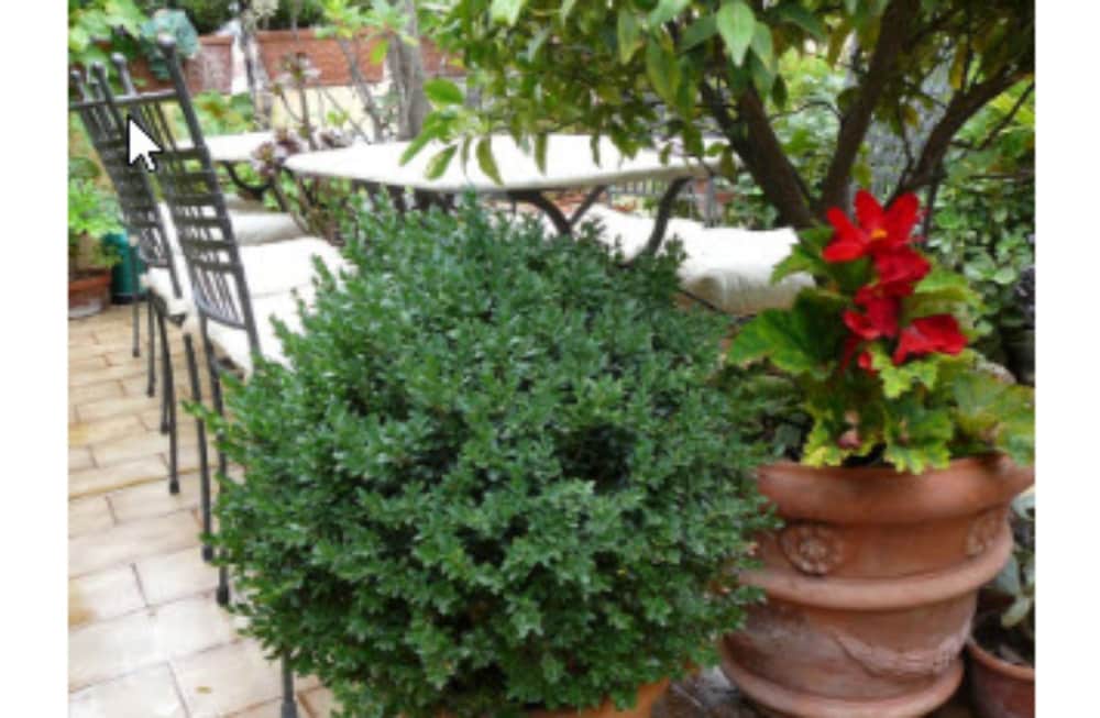 Фото La Terrazza dei Pelargoni B&b