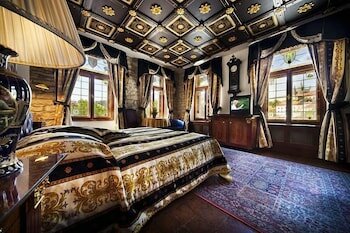 Фото Hotel U Páva