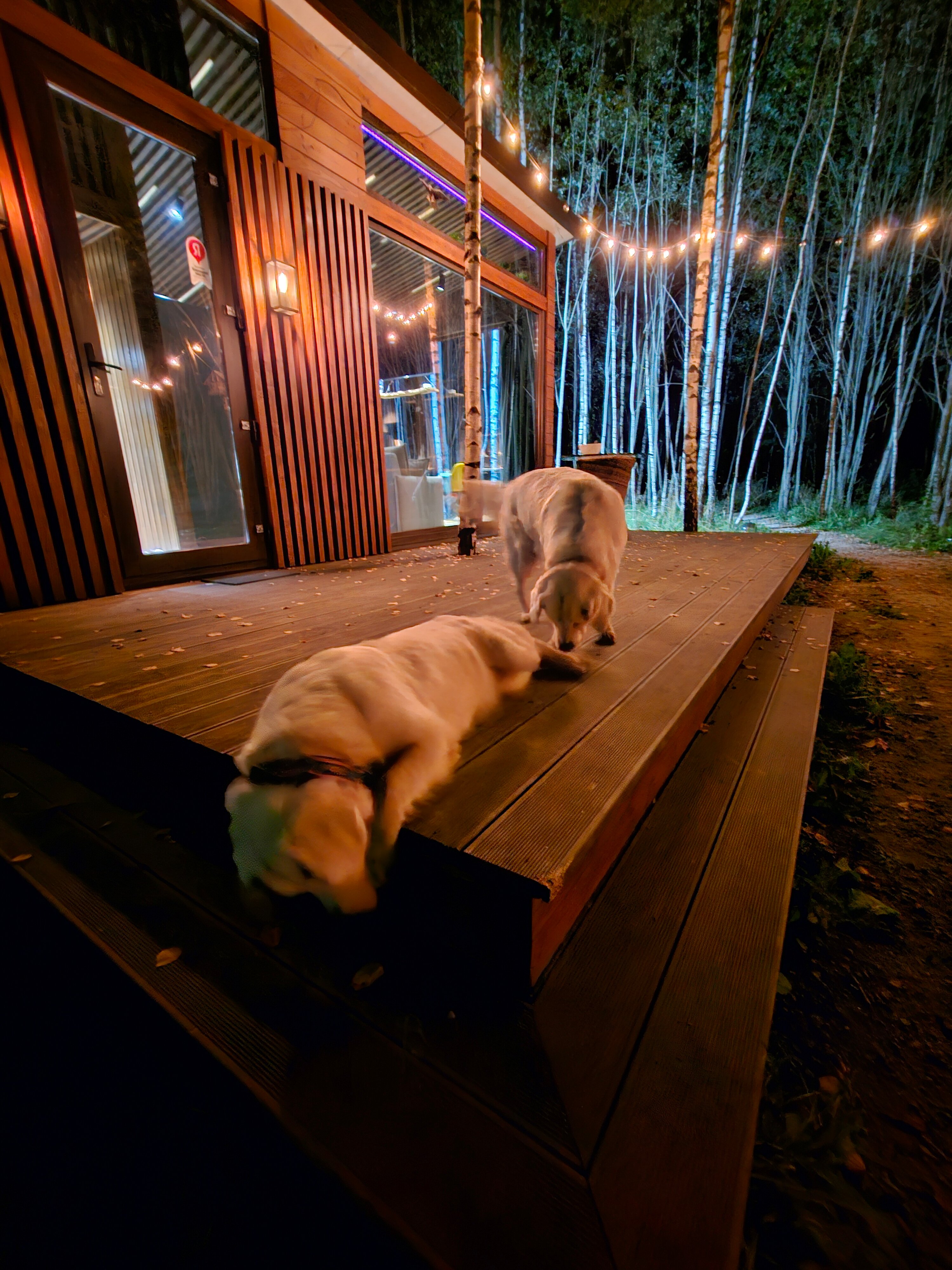 Фото Парк Север