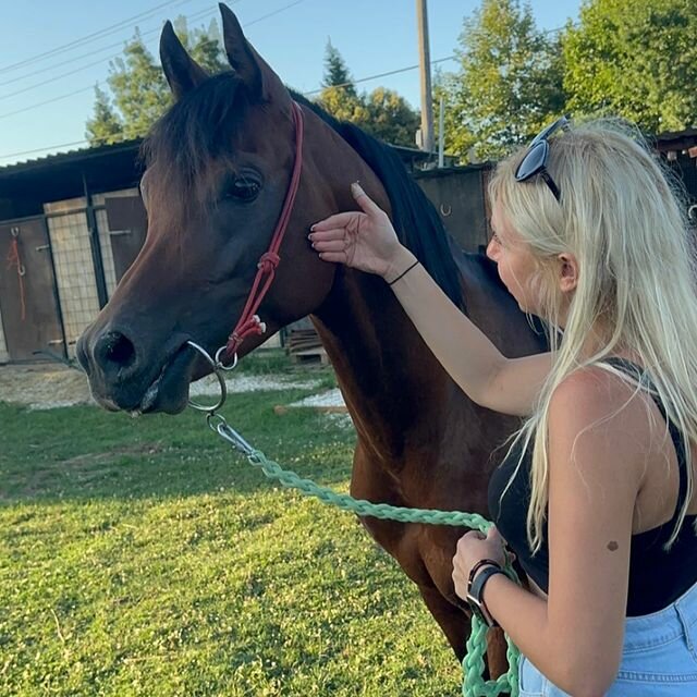Resort Kadost Goreme Facilities, Nevsehir, photo
