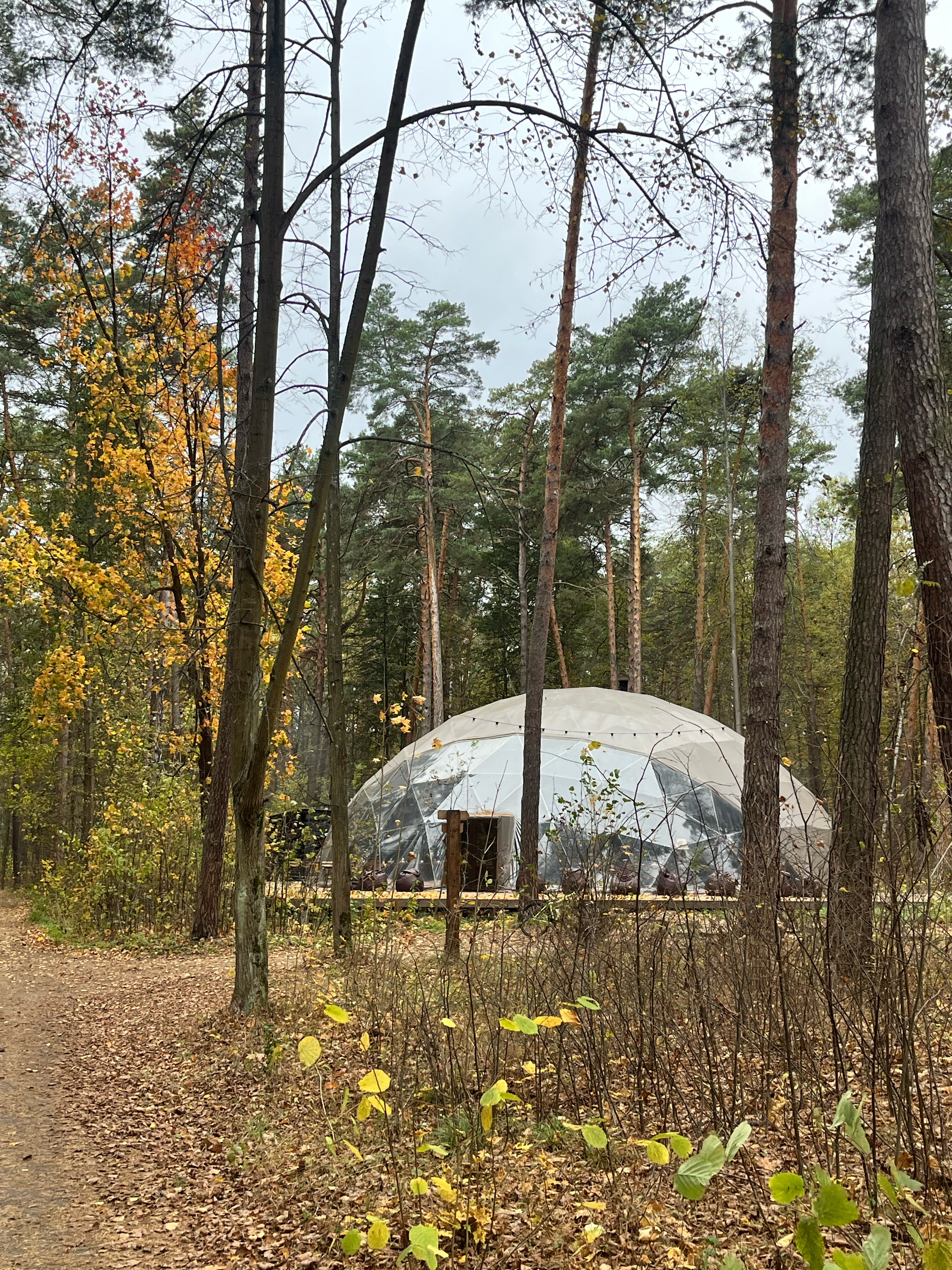 Фото Вили Улей ОКА