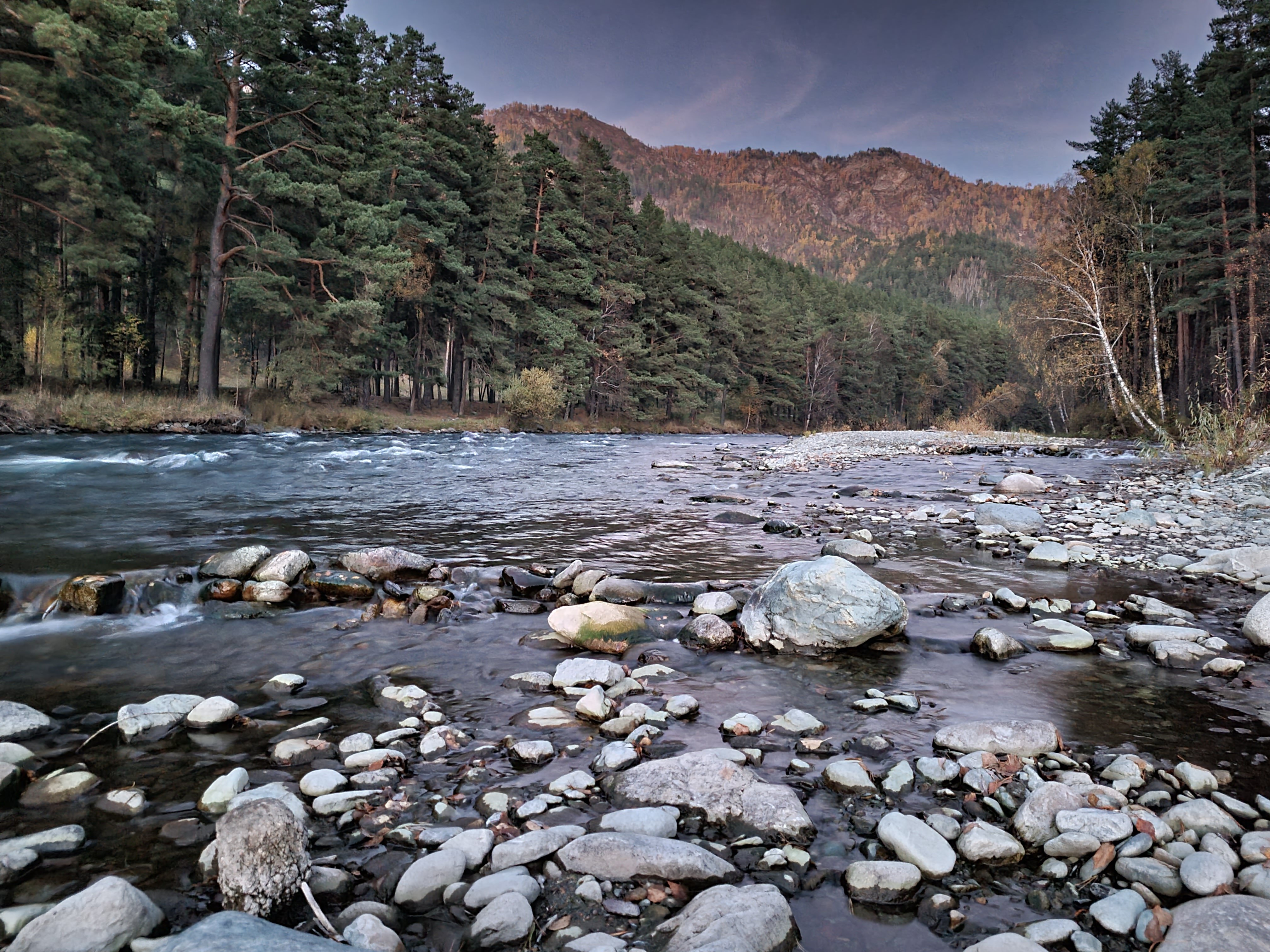 Фото Купольная база Royal Forest