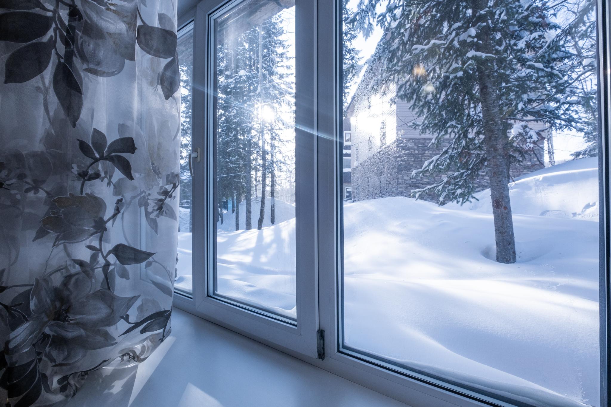 Фото Гринберг