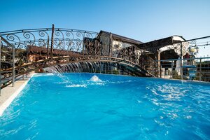 Анютины Глазки