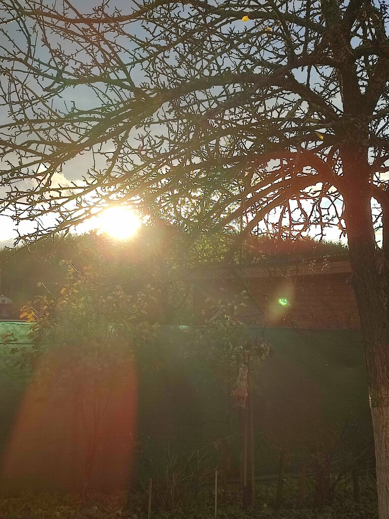 Gardeners' partnerships and societies Шелковик 2, правление, Kirzach, photo