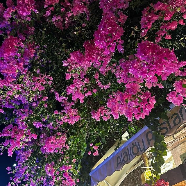 Confectionary Alakoy Alacati Pastanesi, Cesme, photo