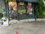 Palmiye Florist (Ankara Province, Cankaya District, Ceyhun Atuf Kansu Avenue, 98/1), floristeria