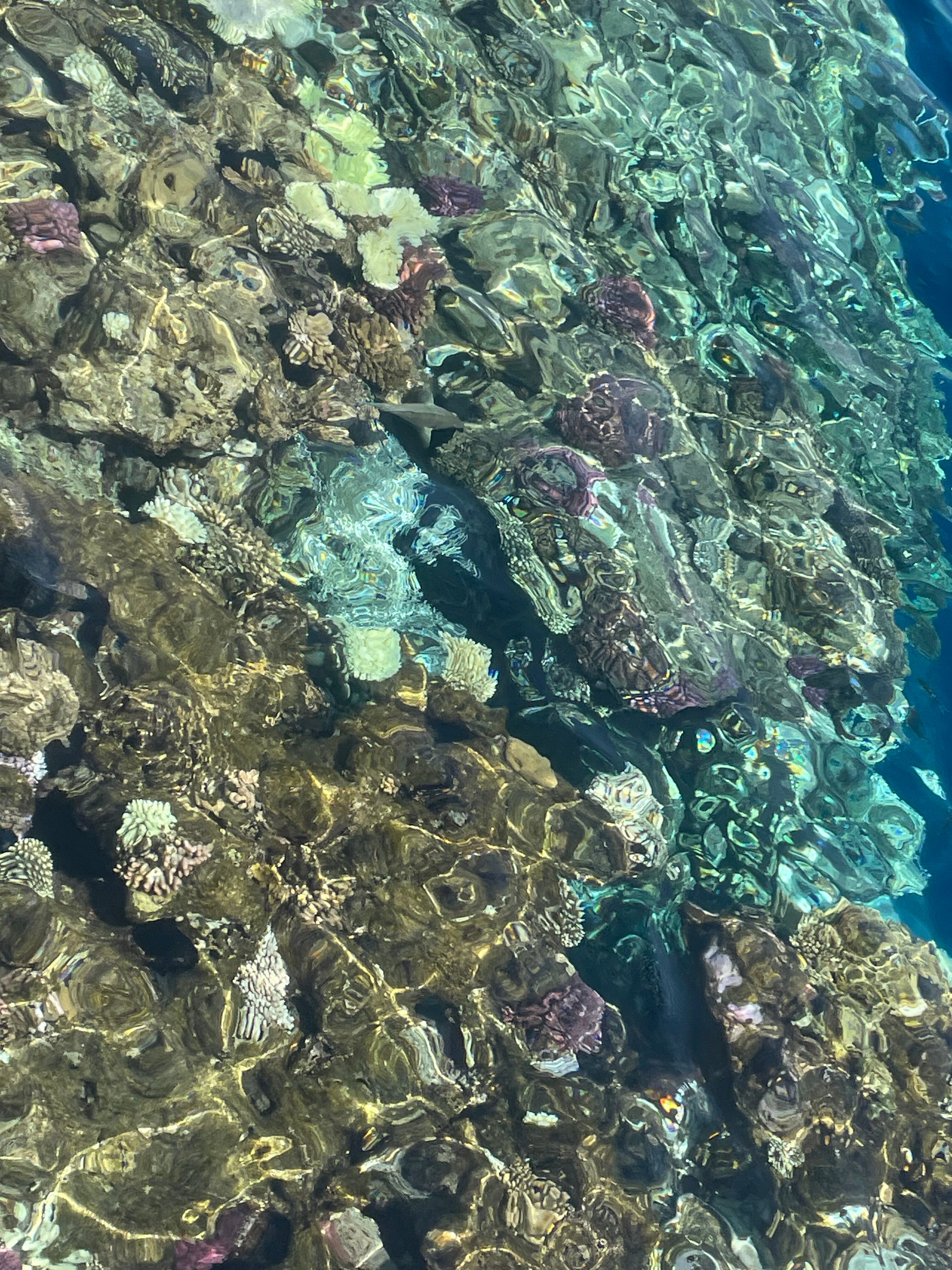 Фото Xperience Kiroseiz Parkland