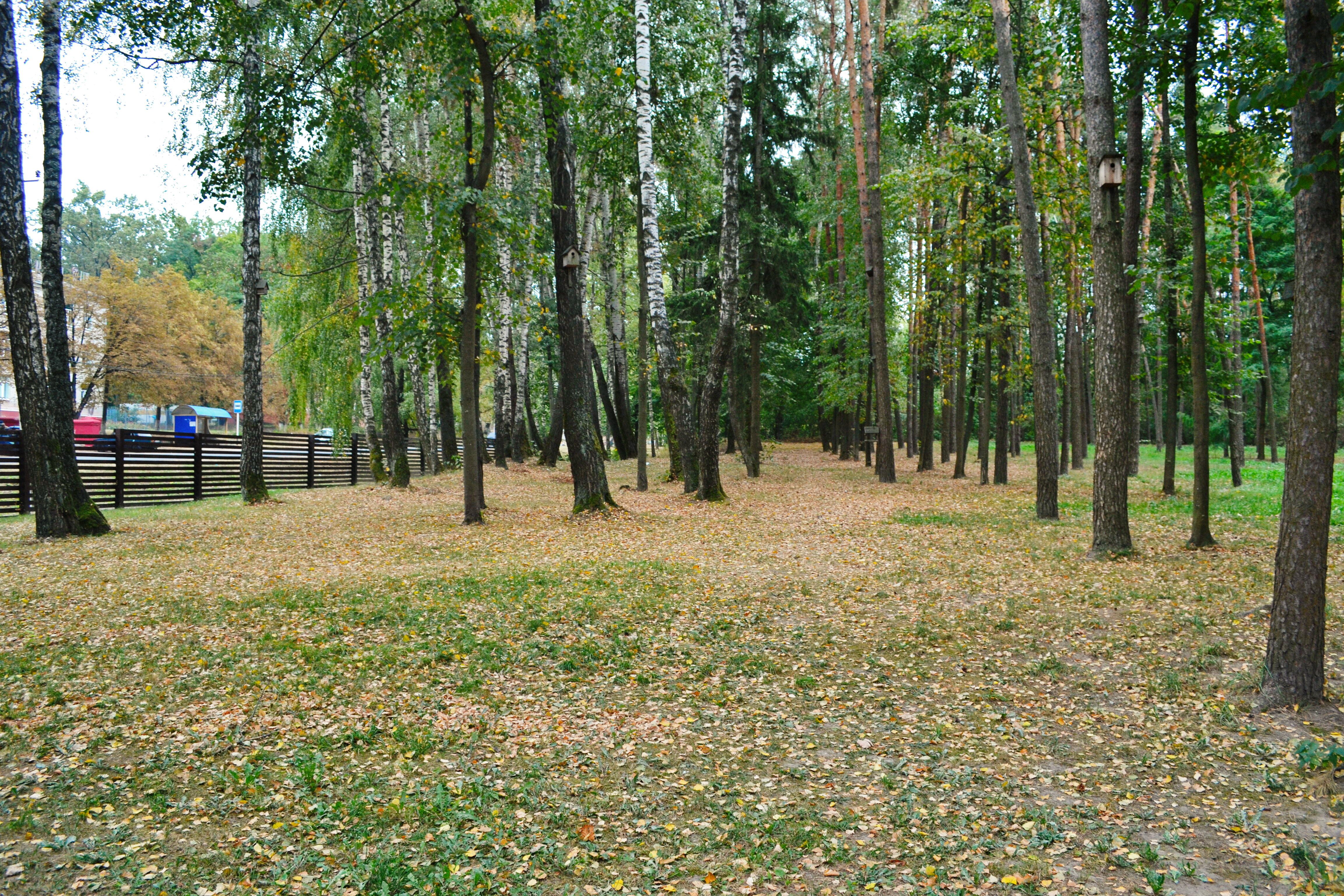 Фото Грин Парк