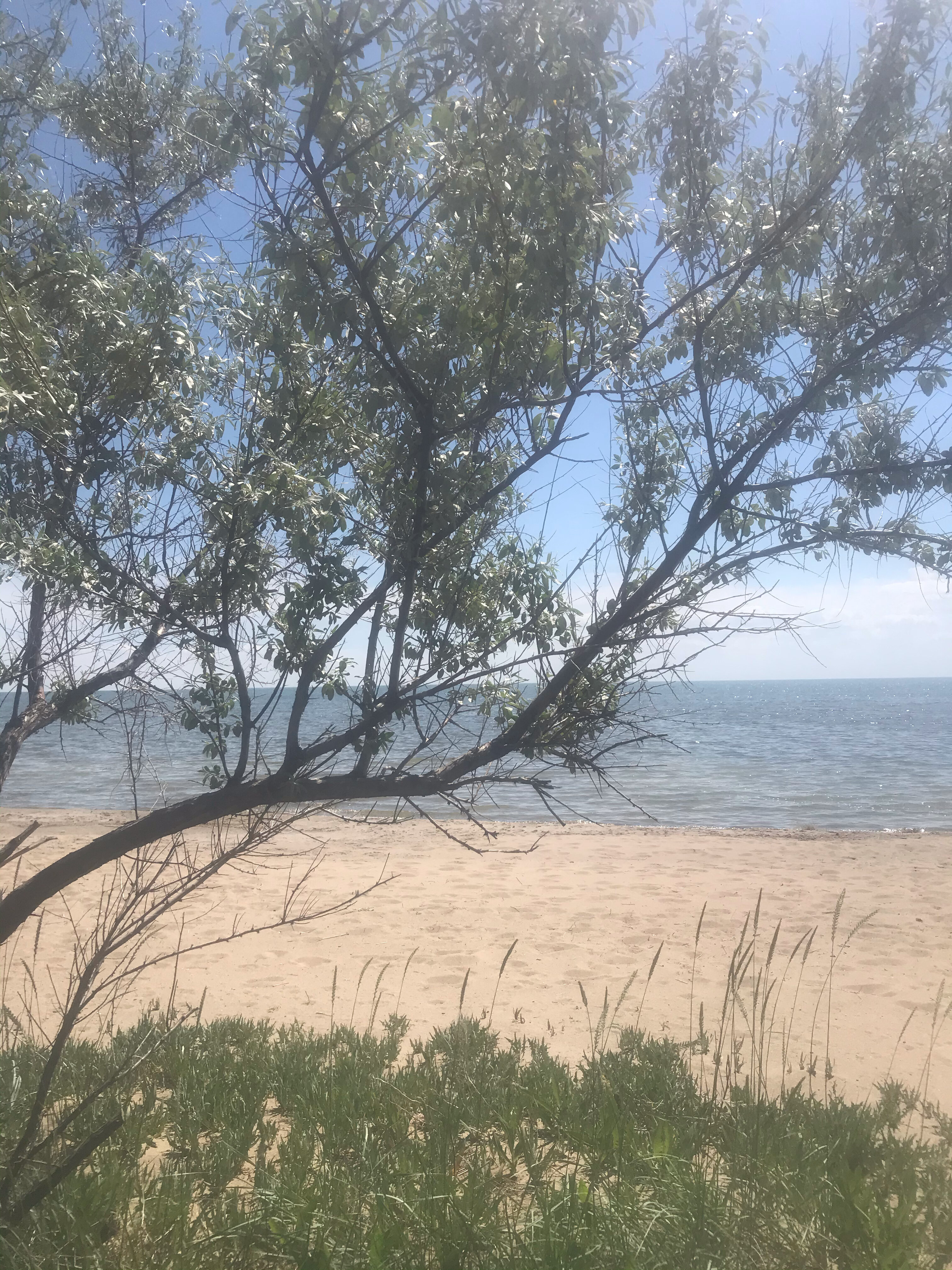 Фото Славянская усадьба