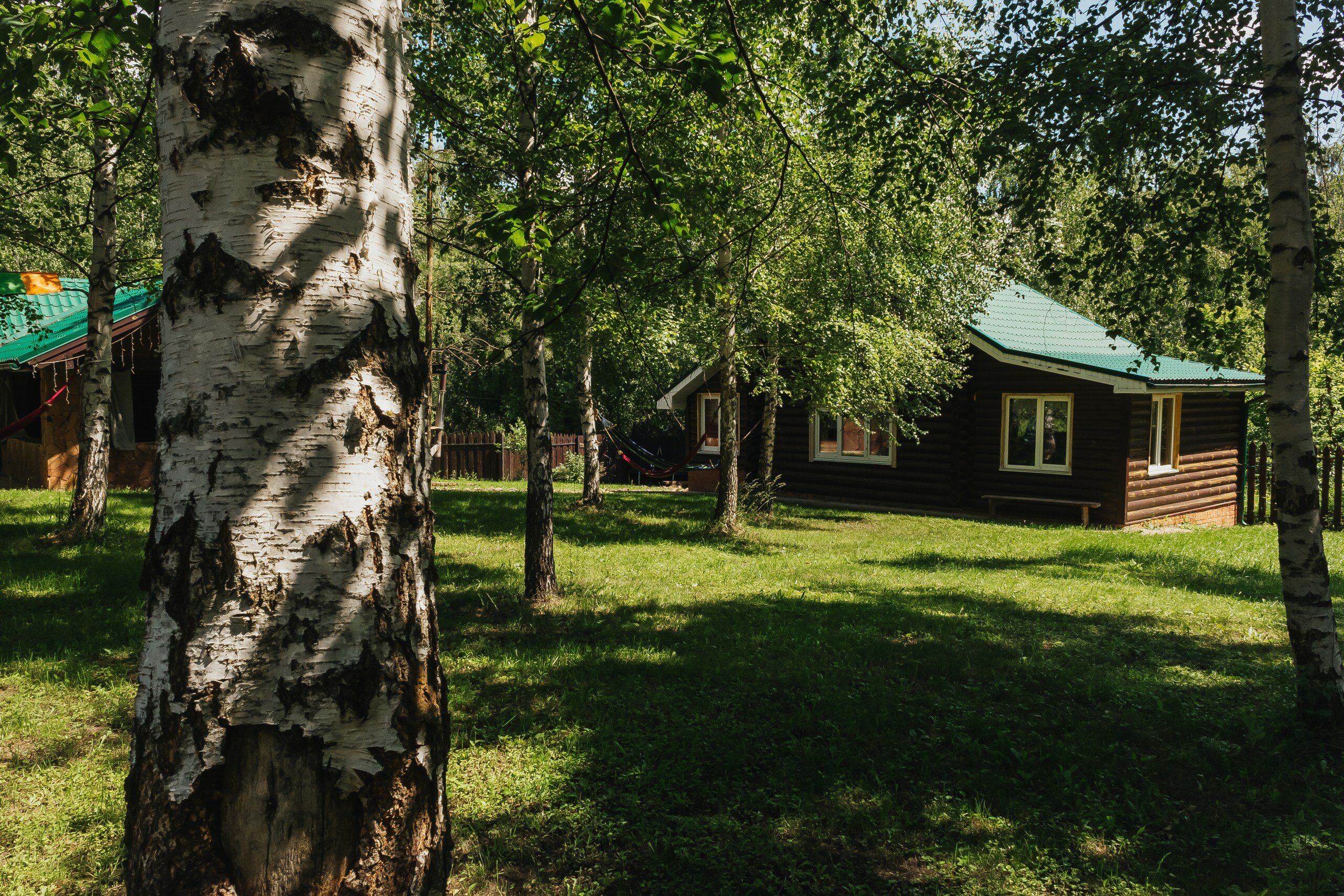 Фото Гармония тишины