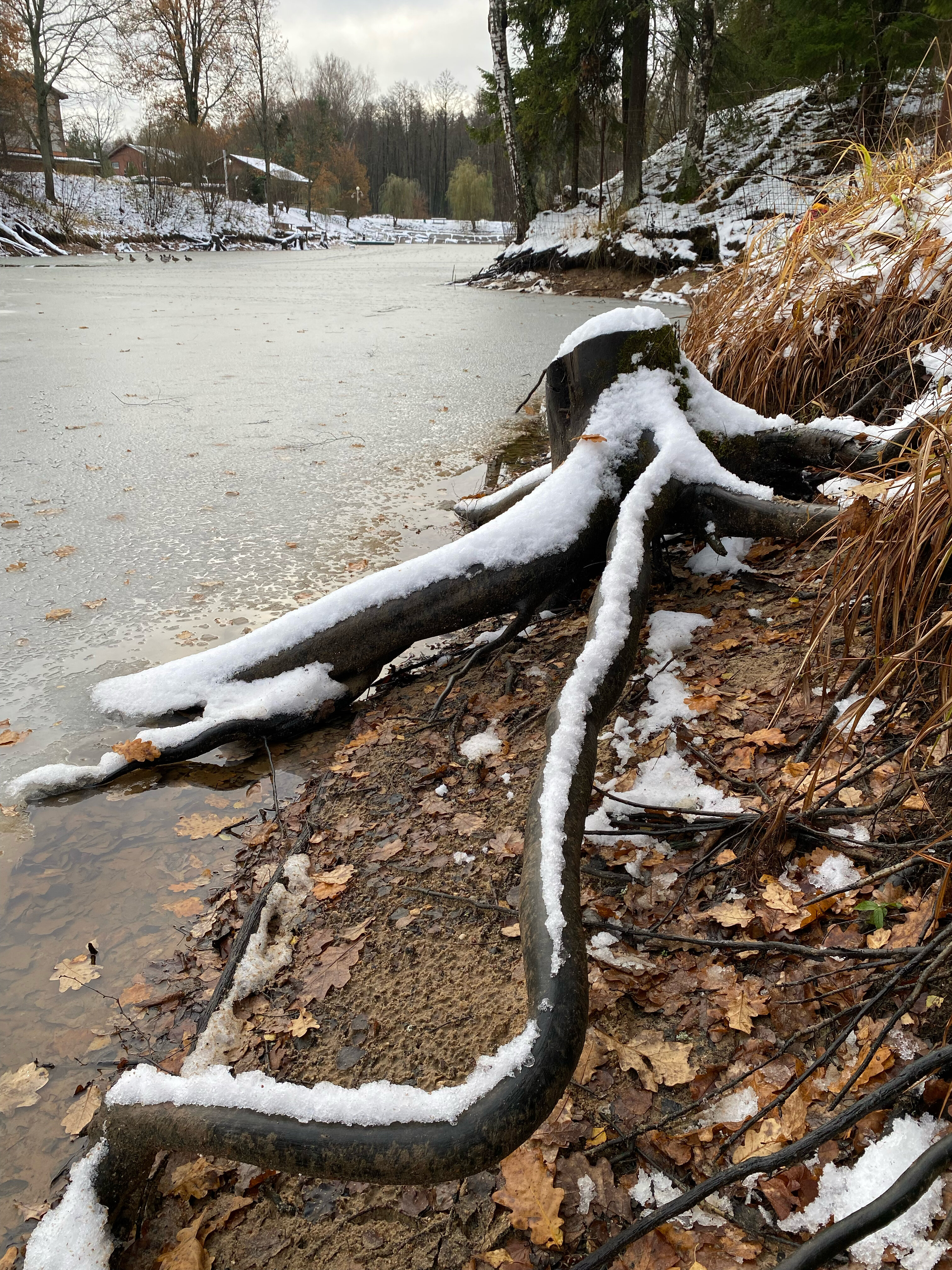 Фото База отдыха Ючмер