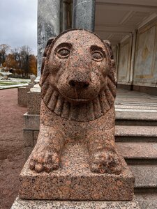 Государственный музей-заповедник Петергоф (Разводная ул., 2, Петергоф), музей в Петергофе