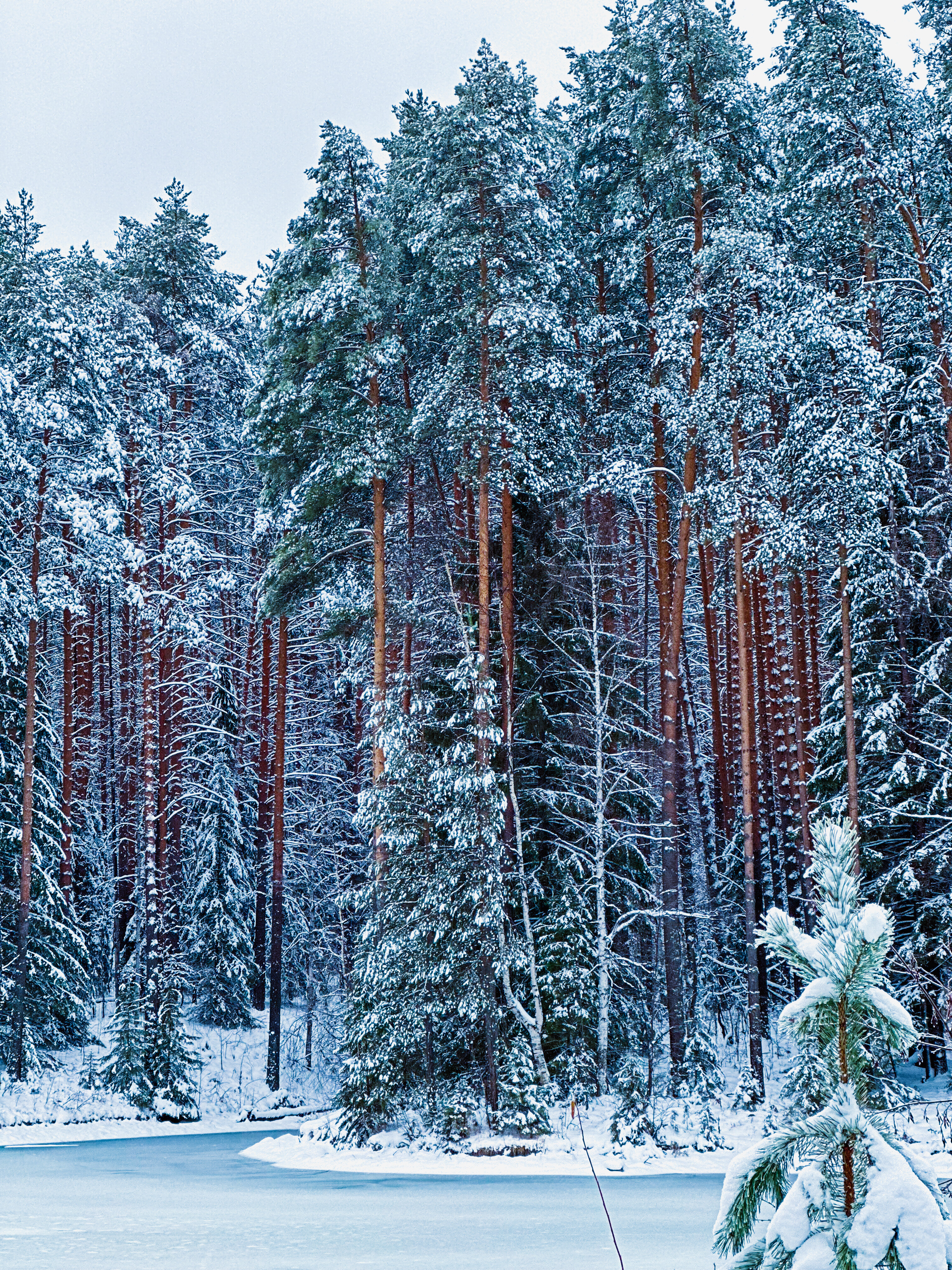 Фото Светофор