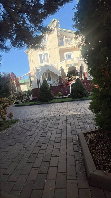 Фото Эдельвейс